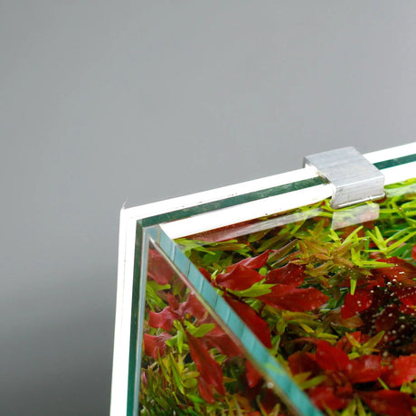 Chihiros Aquarium Background LED Lightscreen - The Aquascape Shop