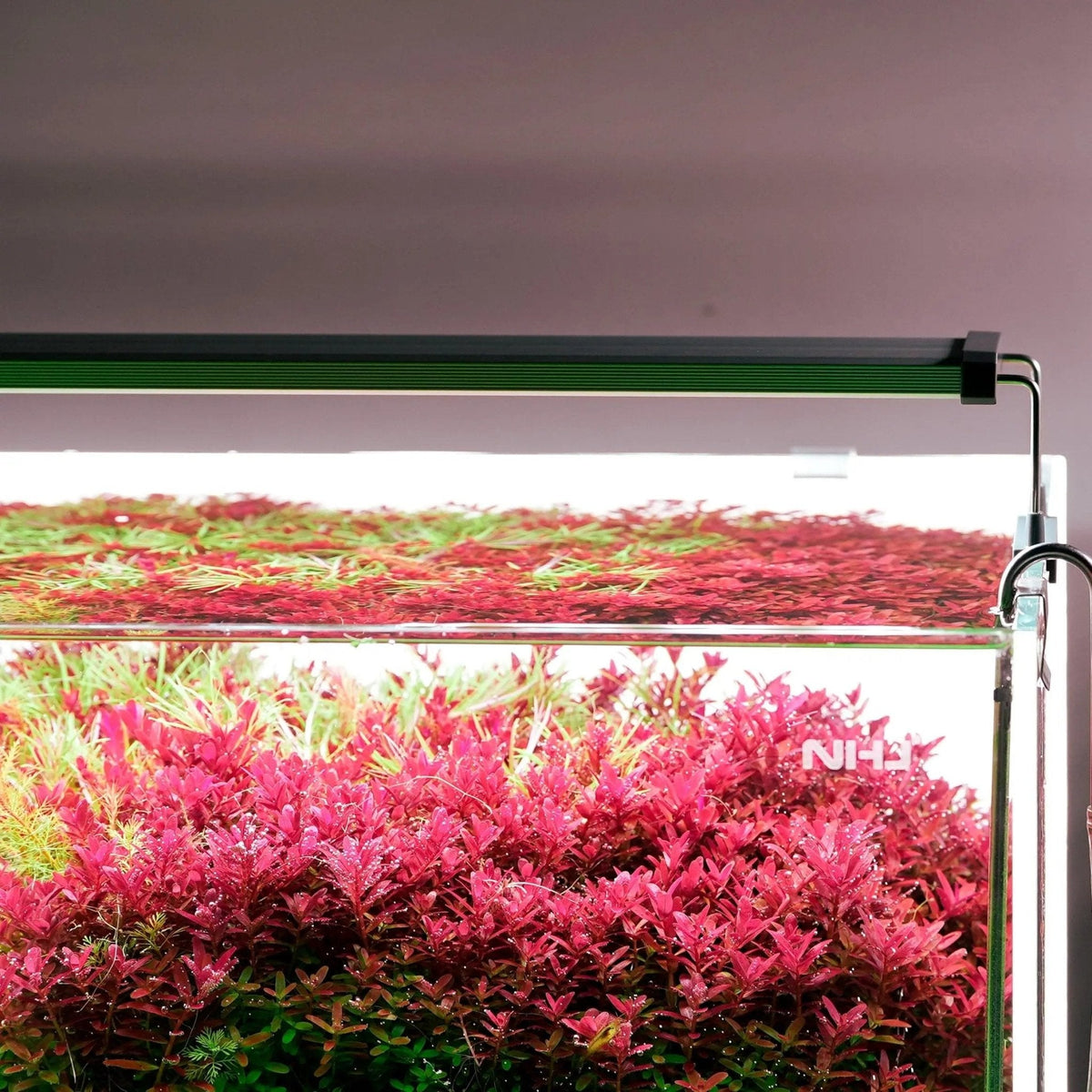 Curated visual reference: Aquascape Led Lighting Installation Reference: Chihiros Aquatic Studio Aquascape Lighting Aquarium Led Lights