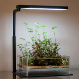 Chihiros CII RGB Base Stand - The Aquascape Shop