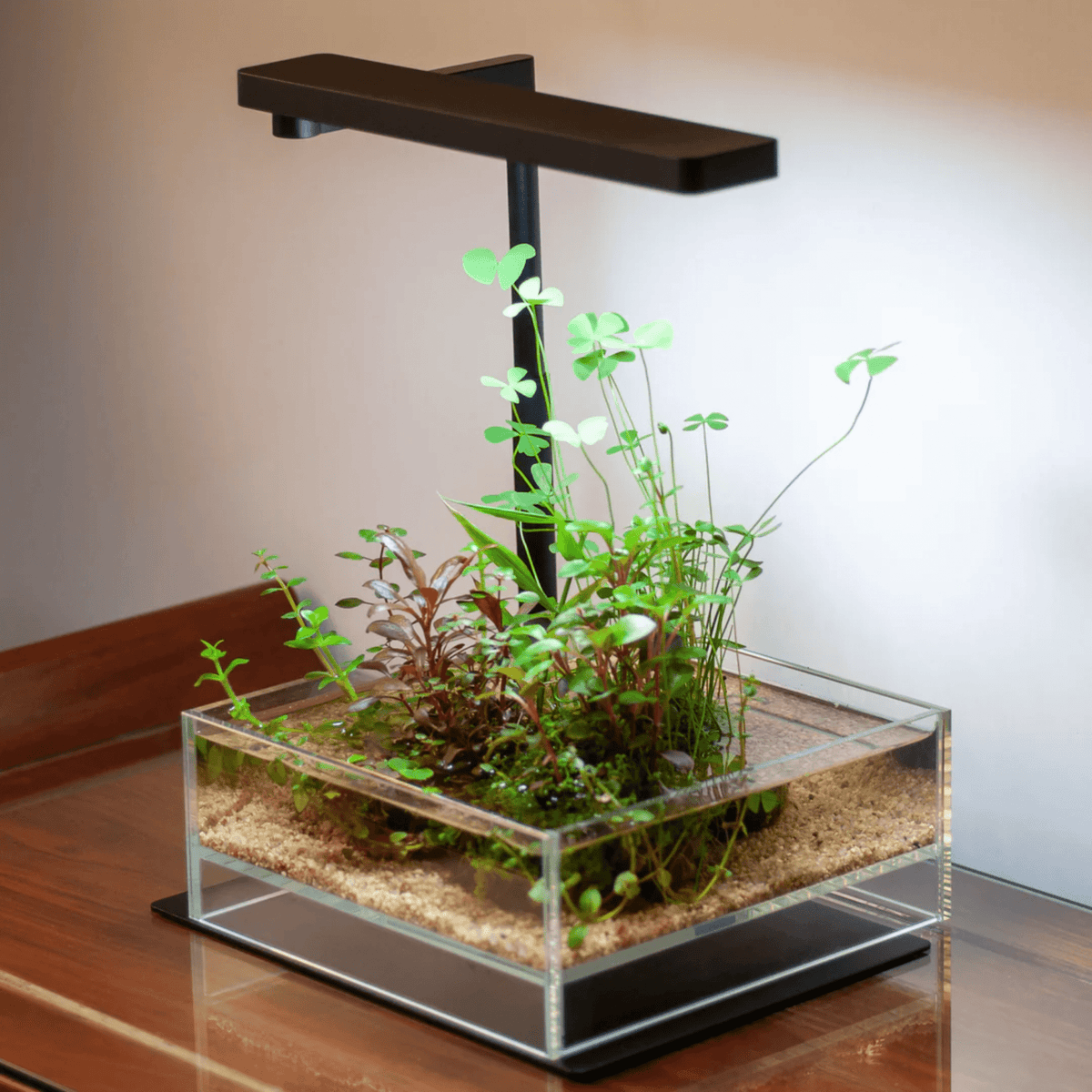 Chihiros CII RGB LED Nano Tank 25-45cm | The Aquascape Shop