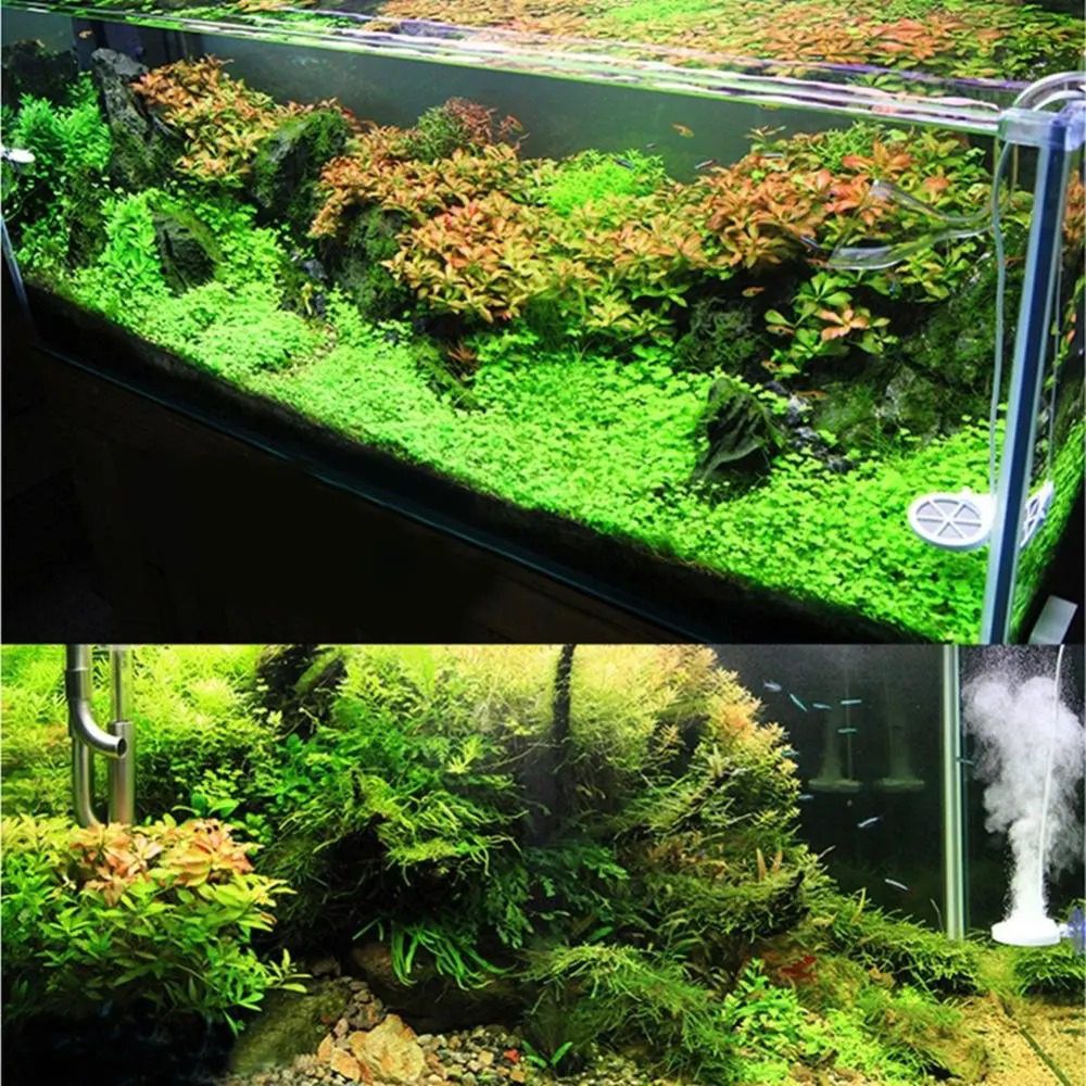 Chihiros Doctor - 4th Gen Bluetooth - The Aquascape Shop