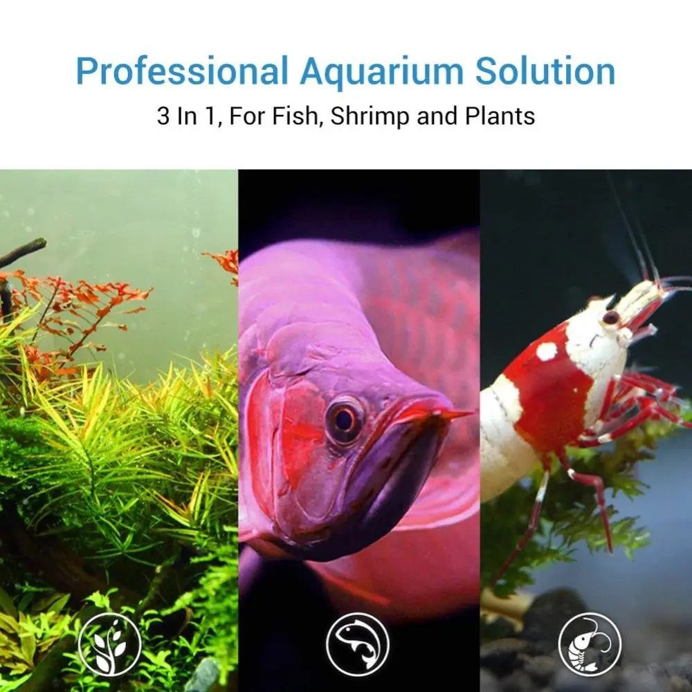 Chihiros Doctor - 4th Gen Bluetooth - The Aquascape Shop