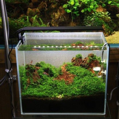 Chihiros LED System Series C - The Aquascape Shop