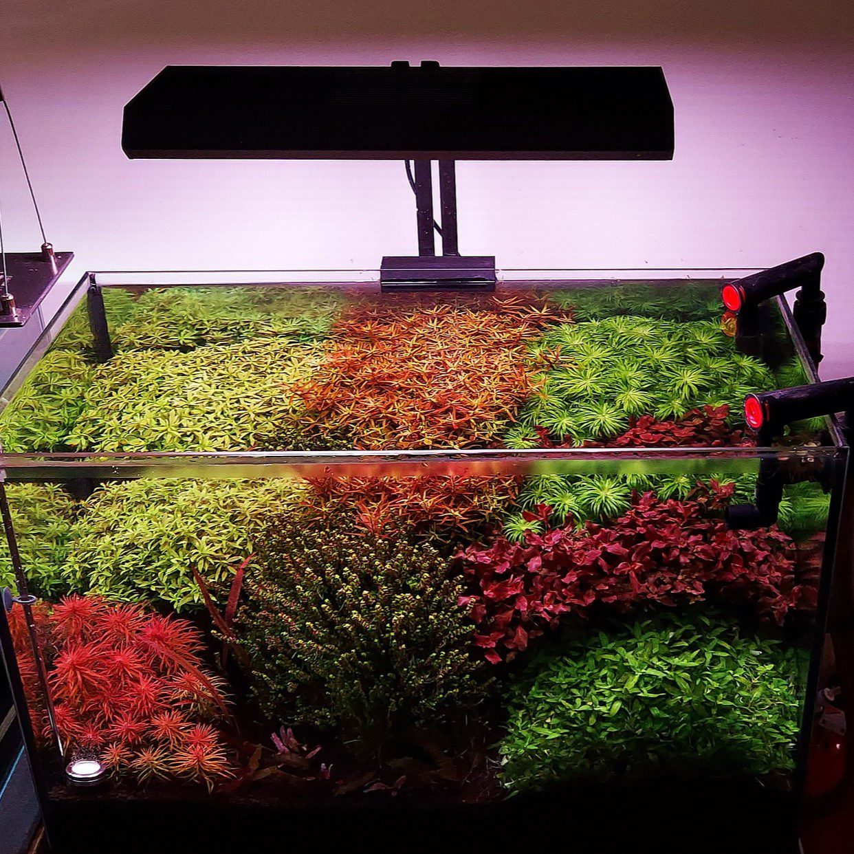 chihiros vivid2 ② Chihiros RGB VIVID II 10th Edition LED Light - Chihiros