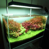 Chihiros RGB VIVIDII - The Aquascape Shop