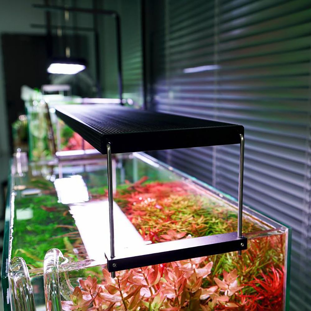 Chihiros WRGBII PRO LED - The Aquascape Shop