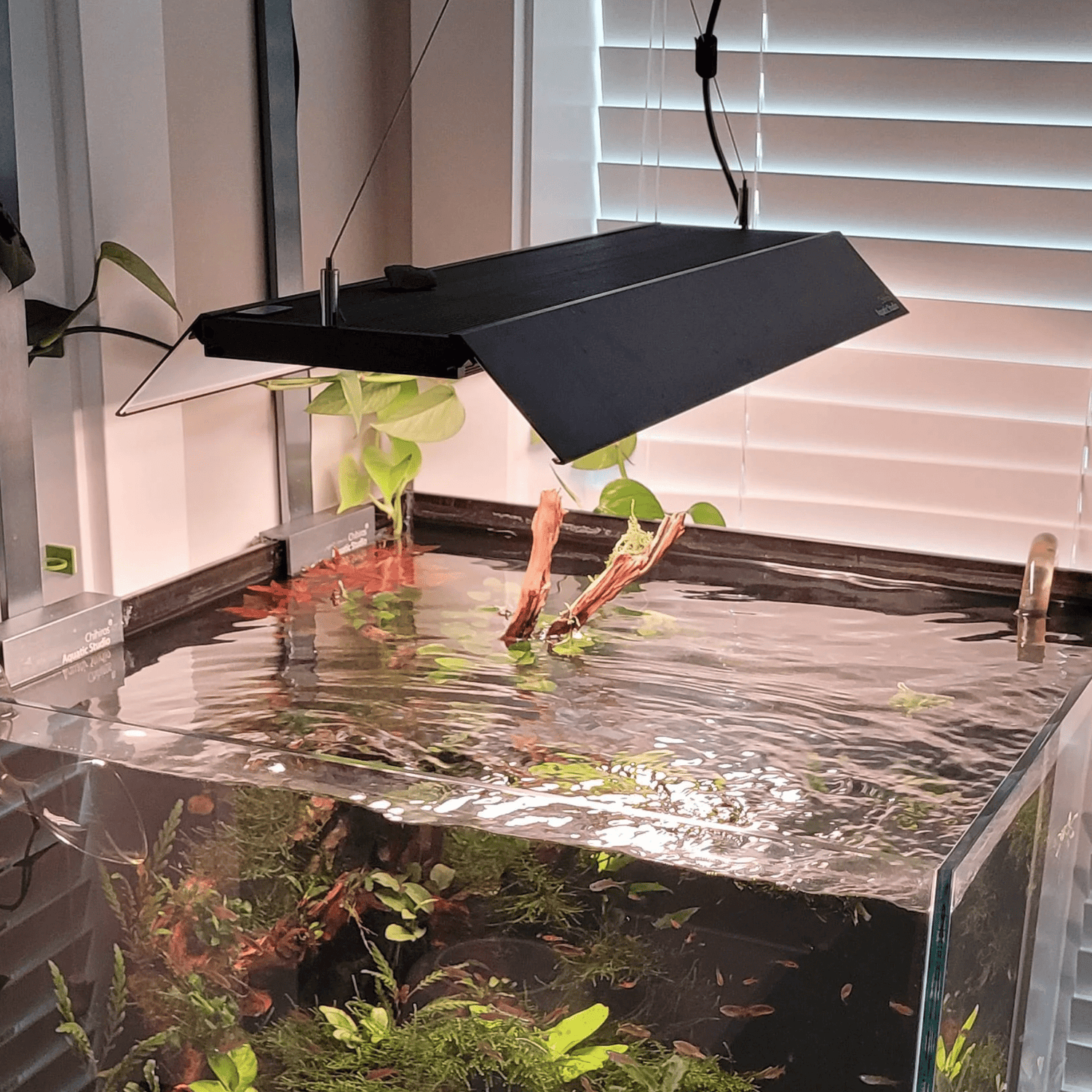 Chihiros WRGB II Pro Mirror Light Shade | The Aquascape Shop Chihiros WRGB II Pro Mirror Light Shade | The Aquascape Shop