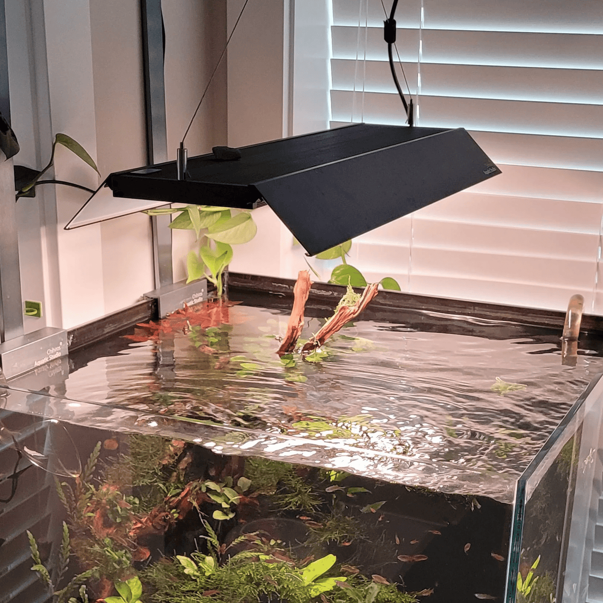 chihiros-wrgbii-pro-shades-