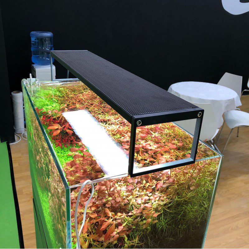 Chihiros WRGB II Slim LED Planted Light | The Aquascape Shop