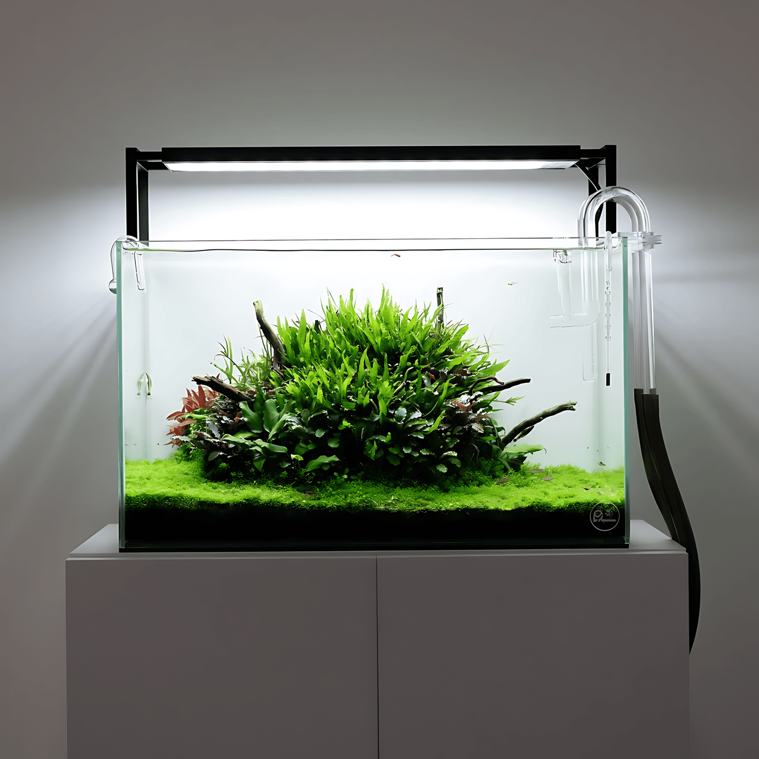 Chihiros WRGB II Slim LED Planted Light | The Aquascape Shop Chihiros WRGB II Slim LED Planted Light | The Aquascape Shop