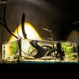 Chihiros Z Tiny LED Light - The Aquascape Shop