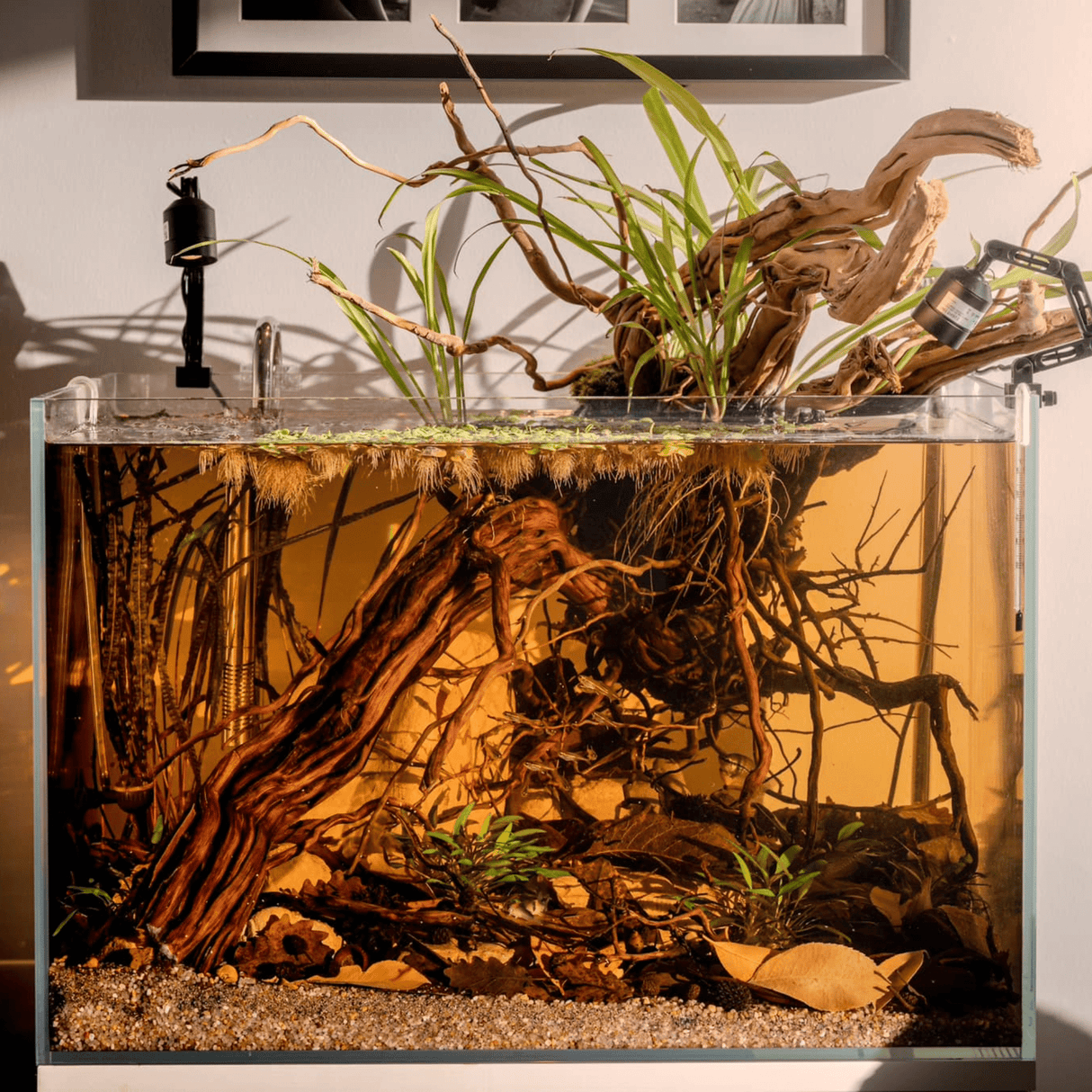 Chihiros Z Tiny LED Light - The Aquascape Shop