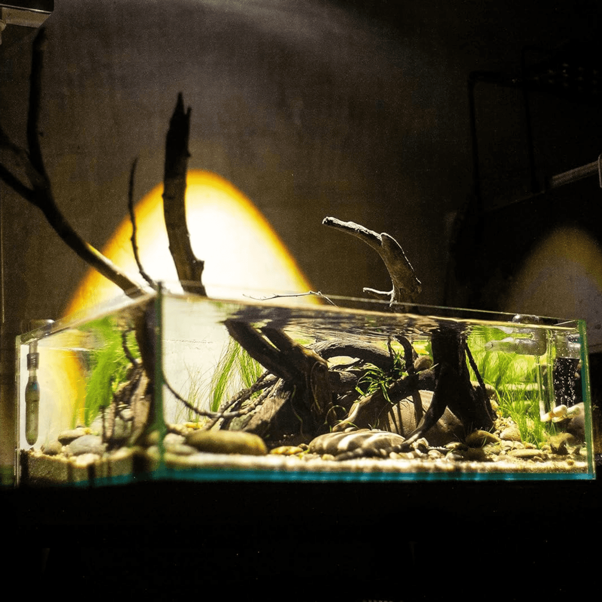 Chihiros Z Tiny LED Light for Nano Tank | The Aquascape Shop