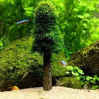 Christmas Moss Tree Holder - The Aquascape Shop