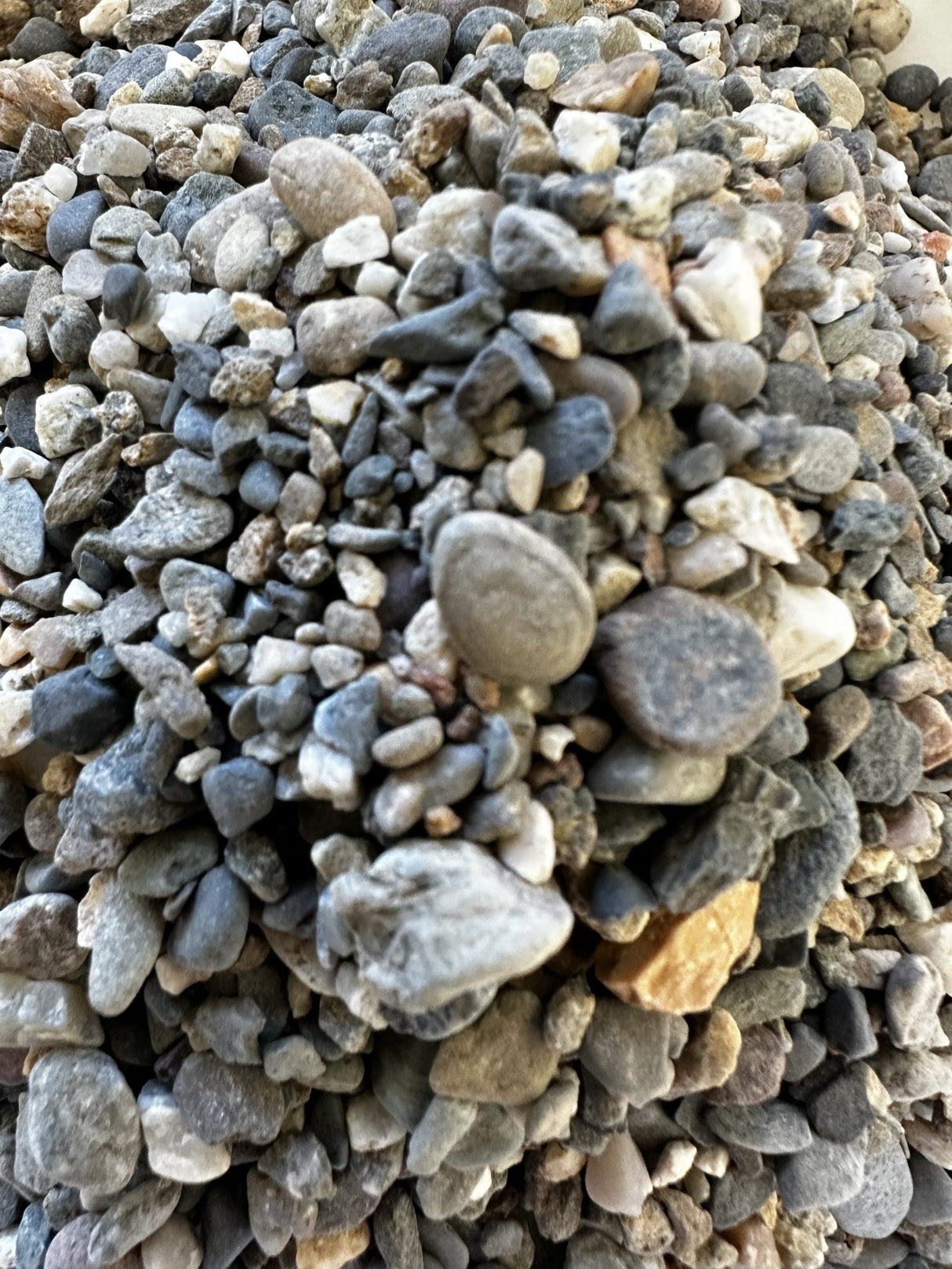 Detailing - Sand & Stone Grains - The Aquascape Shop