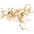 Detailing - Tigerwood - The Aquascape Shop