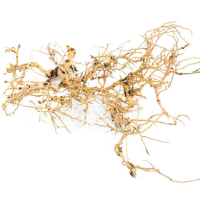 Detailing - Tigerwood - The Aquascape Shop