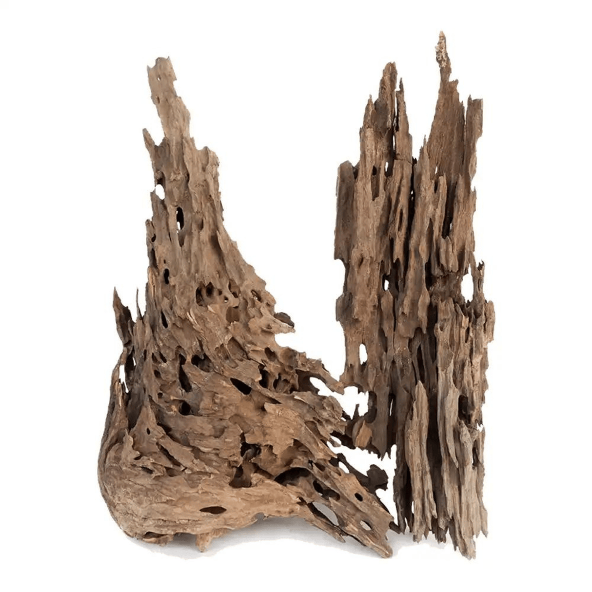 Dragon Driftwood - The Aquascape Shop