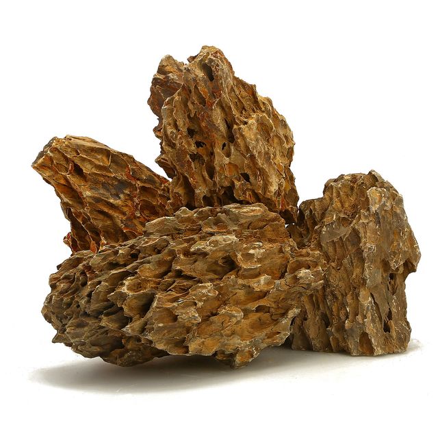 Dragon Stone Ohko - The Aquascape Shop