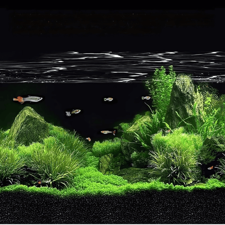 Dr.Tank Aquarium Aquasoil - The Aquascape Shop