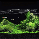 Dr.Tank Aquarium Aquasoil - The Aquascape Shop