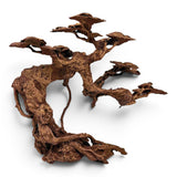 Floating Canopy Resin Bonsai Tree