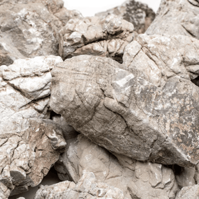 Grey Elephant Skin Rock - The Aquascape Shop