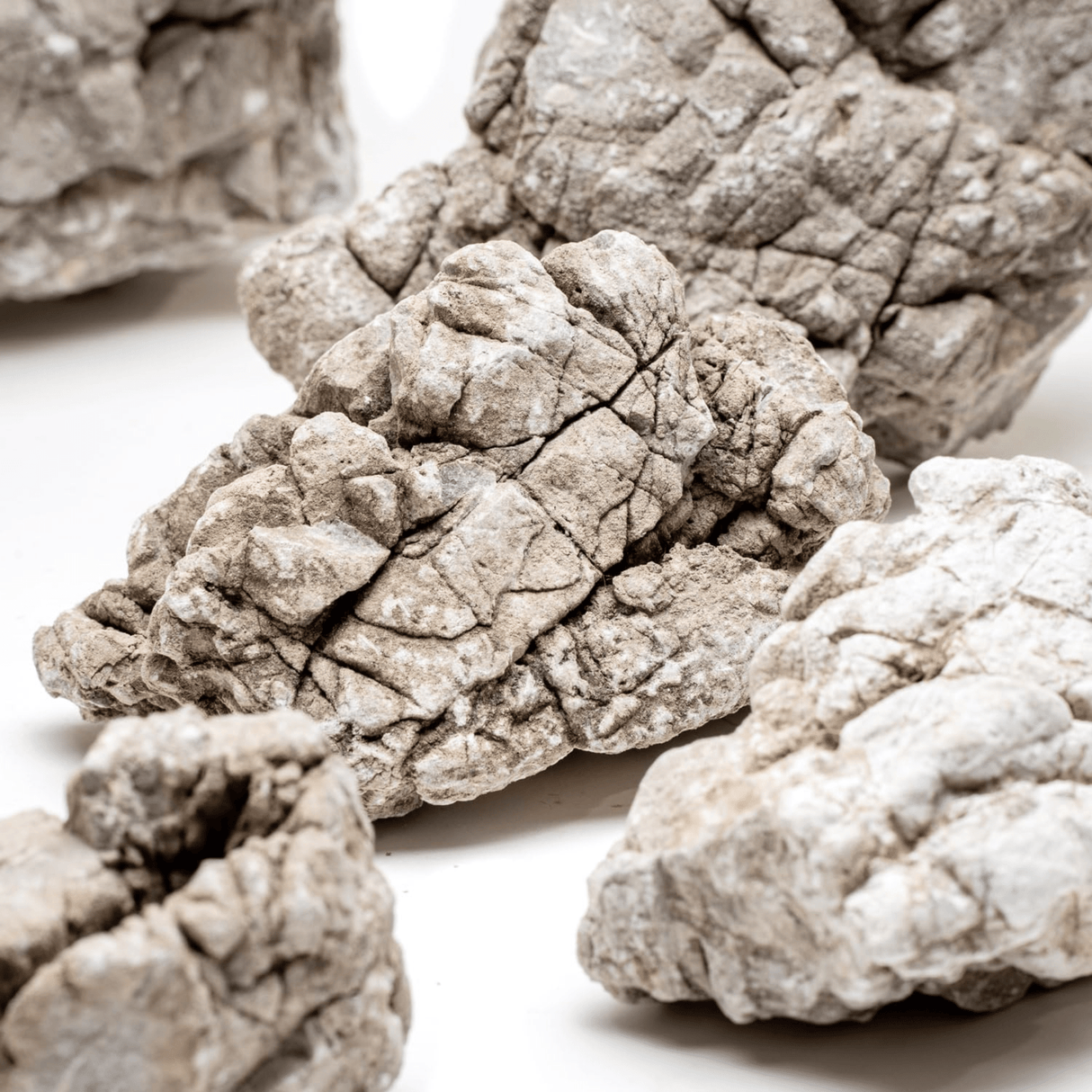 Grey Elephant Skin Rock - The Aquascape Shop