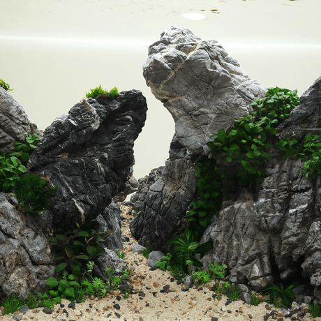 Grey Elephant Skin Rock - The Aquascape Shop
