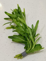 Heteranthera Zosterifolia (Star Grass) - The Aquascape Shop