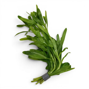 Heteranthera Zosterifolia (Star Grass) - The Aquascape Shop