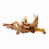 Horn Driftwood - The Aquascape Shop