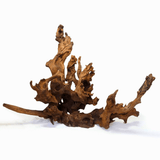 Horn Driftwood - The Aquascape Shop