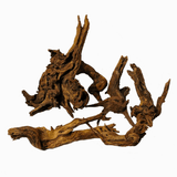 Horn Driftwood - The Aquascape Shop