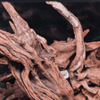 Horn Driftwood - The Aquascape Shop