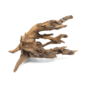 Horn Driftwood - The Aquascape Shop