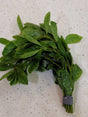 Hygrophila Polysperma - The Aquascape Shop