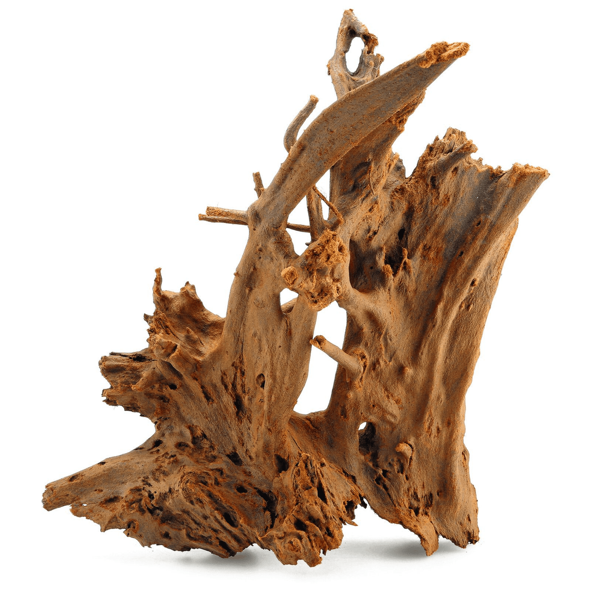 Mangrove Driftwood - The Aquascape Shop