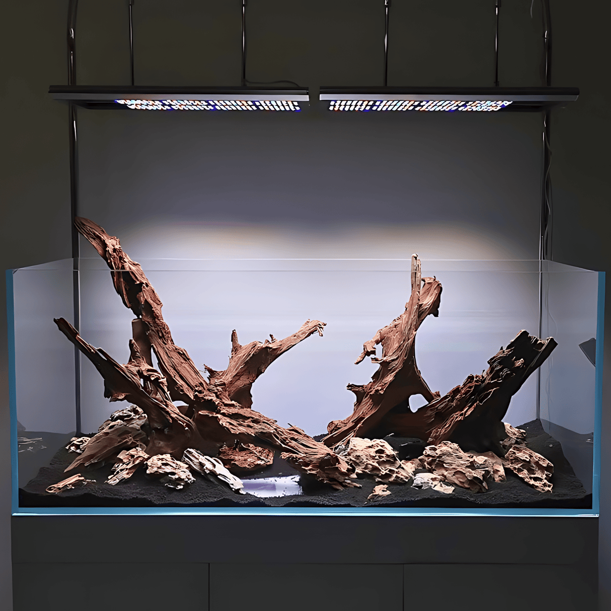 Mangrove Driftwood - The Aquascape Shop