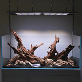 Mangrove Driftwood - The Aquascape Shop