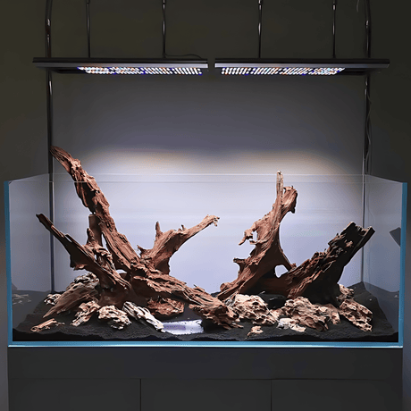 Mangrove Driftwood - The Aquascape Shop