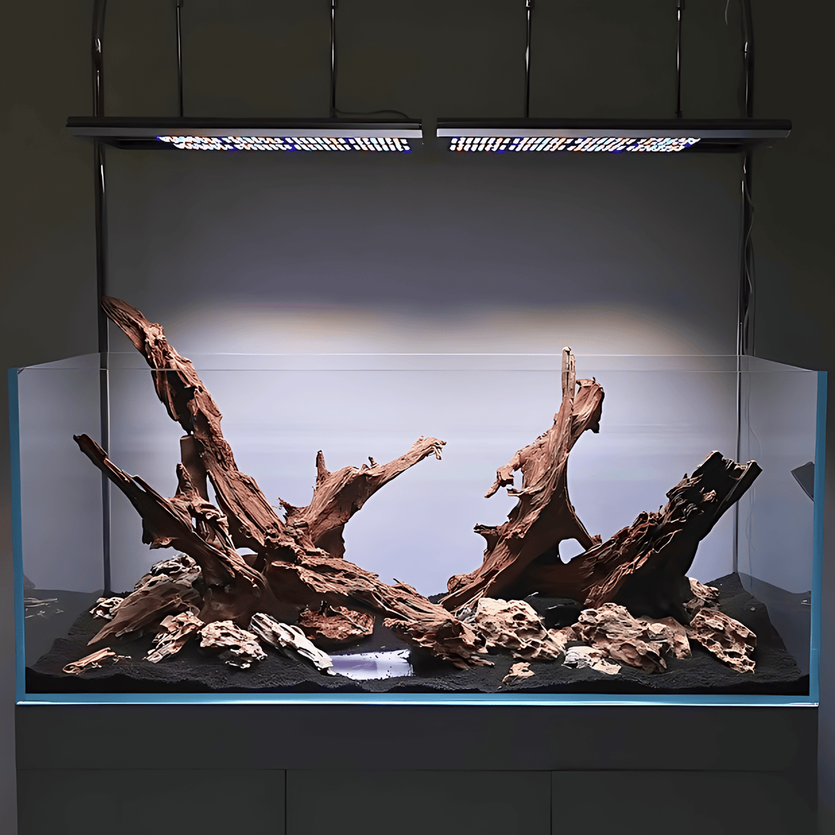 Mangrove Driftwood - The Aquascape Shop