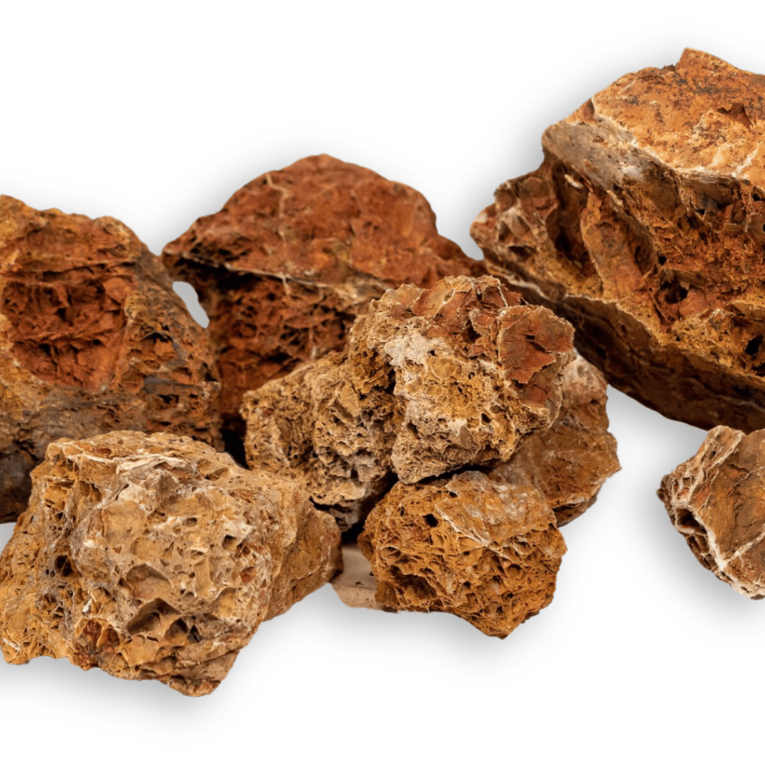 5 Rocks Maple Maple Leaf Aquarium Hardscape Stone | The Aquascape Shop