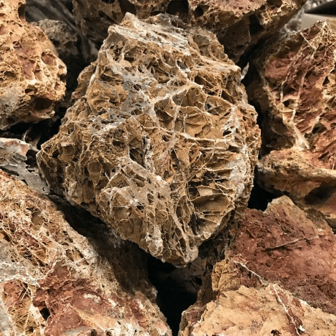 5 Rocks Maple Maple Leaf Aquarium Hardscape Stone | The Aquascape Shop