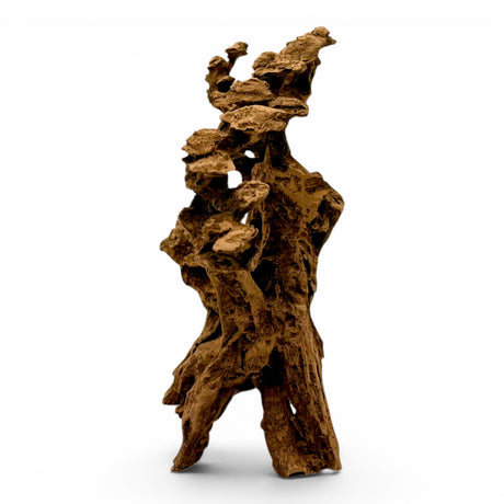 Mosswood Resin Bonsai Tree