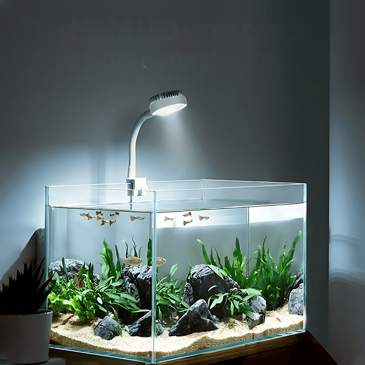 Nepall Adjustable Clip - On LED Light with Heat Sink - The Aquascape Shop