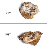 Petrified Wood Stone - The Aquascape Shop