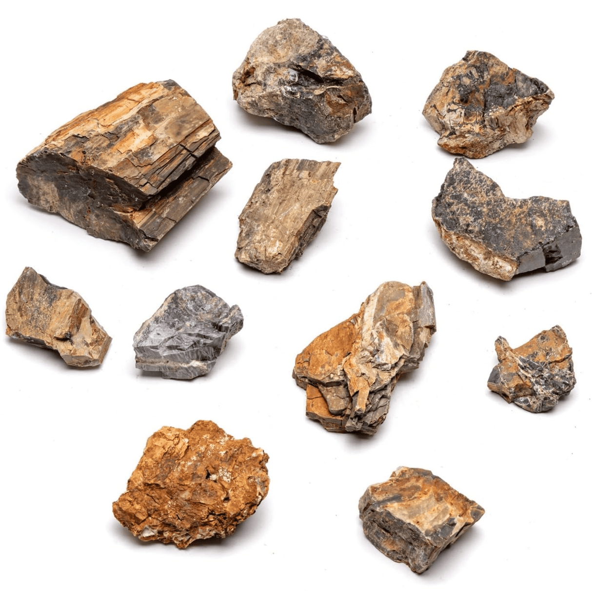 Petrified Wood Stone - The Aquascape Shop