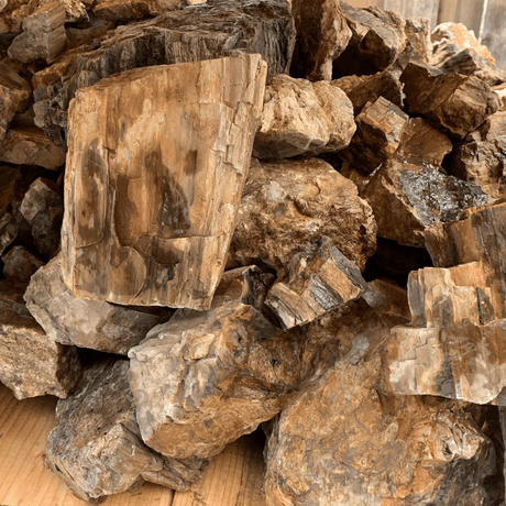 Petrified Wood Stone - The Aquascape Shop