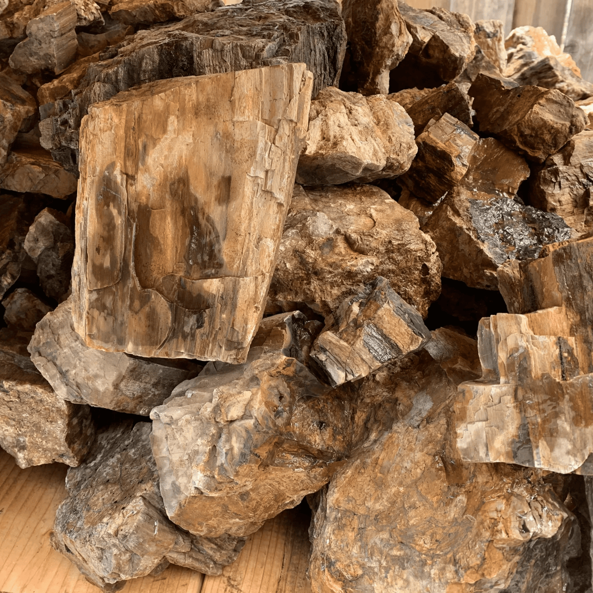 Petrified Wood Stone - The Aquascape Shop